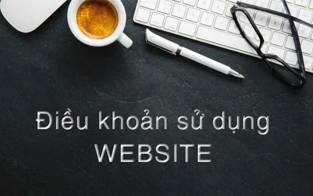 Điều khoản sử dụng website