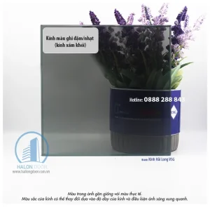 Kính màu xám khói 10mm